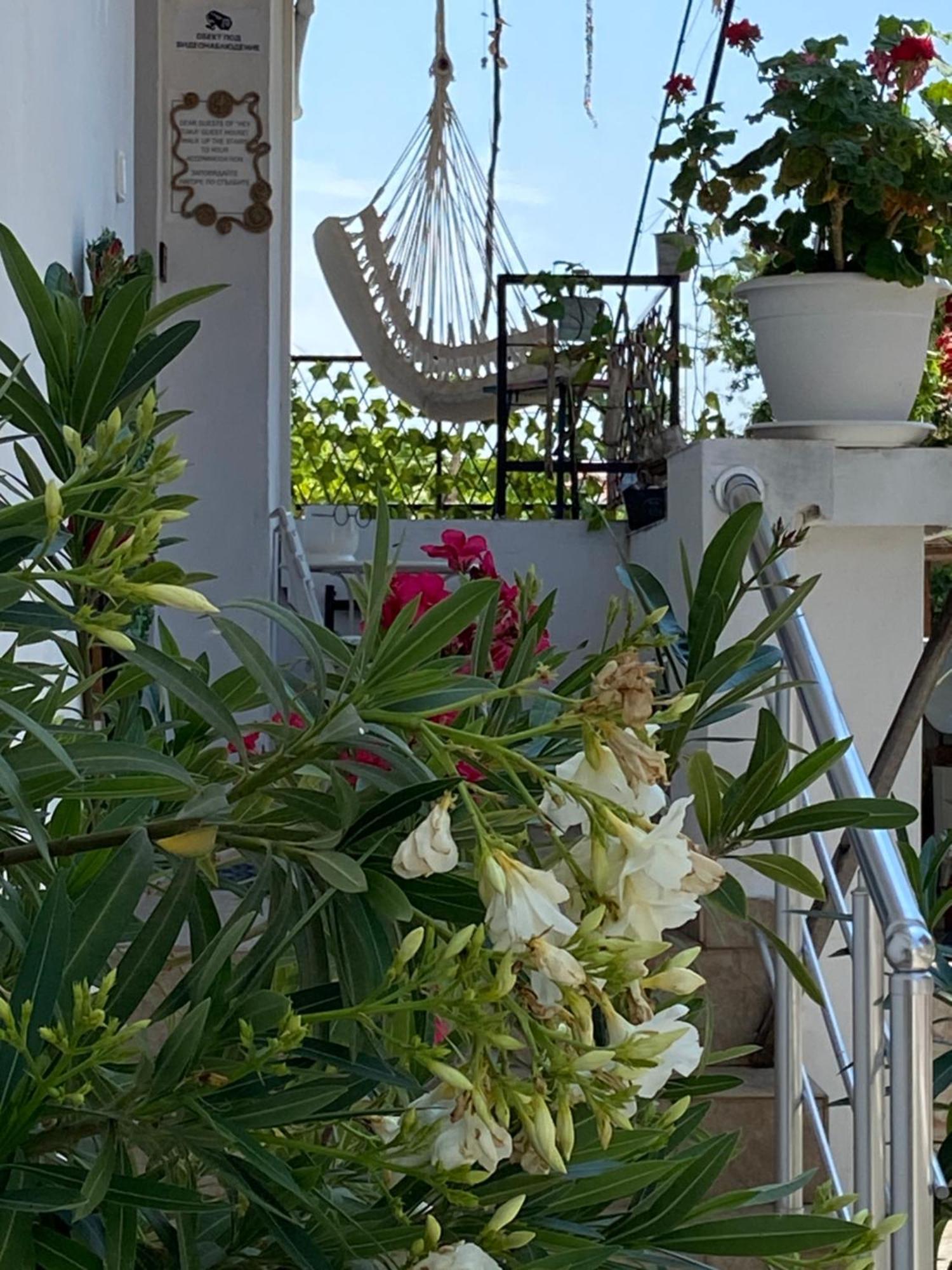 Guest House Hei Taka โซโซโปล ภายนอก รูปภาพ